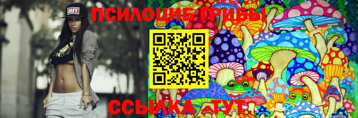 Кизляр  Псилоцибиновые грибы GOLDEN TEACHER  Галлюциногенные грибы Magic Shrooms  Вход с VPN 